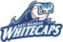 West Michigan Whitecaps Performance